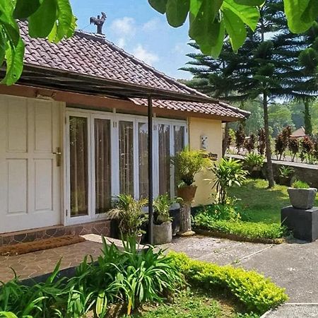 Tunjung Sari Villa Bedugul Redpartner מראה חיצוני תמונה