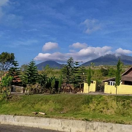 Tunjung Sari Villa Bedugul Redpartner מראה חיצוני תמונה